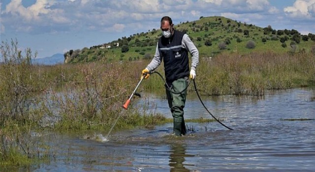 Aliağa Belediyesi Sivrisinek ile Mücadelesini Sürdürüyor