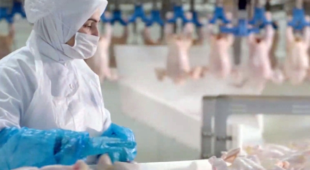 Beyaz Et Sektöründe Kadın İstihdam Oranı Türkiye Ortalamasının Üzerinde