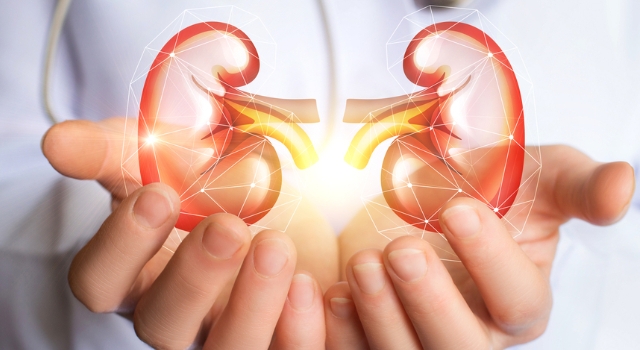 BÖBREK HASTALARI İÇİN ‘İYİ YAŞAMIN’ 4 KURALI!