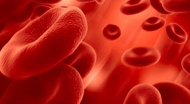 KANSERDEN KORUNMANIN 7 YOLU