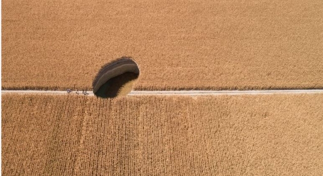 “Tarımda Havza Modeli yaygınlaştırılmalı”