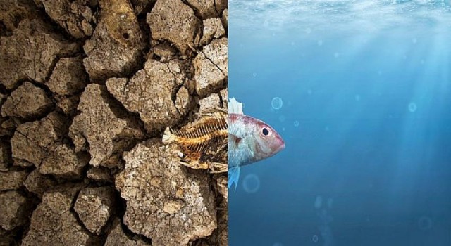 Yakın Gelecekteki Tehlike: Küresel Isınma hakkında 5 Soru 5 Cevap