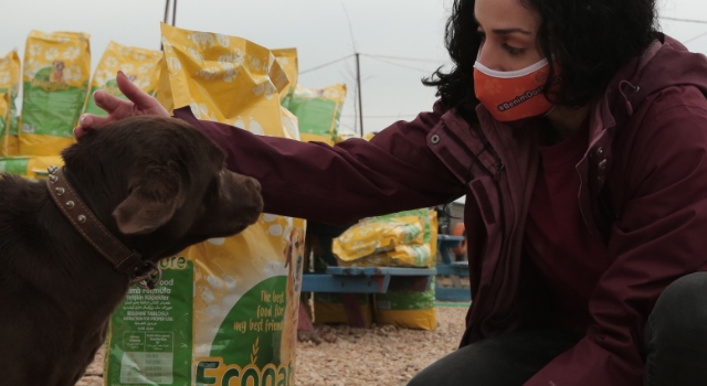 Eti Benim’O’nun Sokak Hayvanları için Başlattığı “BenimDostumO” Projesi İkinci Yılında!