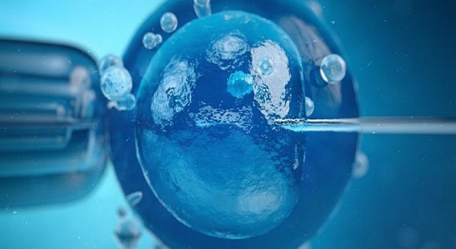 Kanser tedavisinde doğurganlık korunabilir