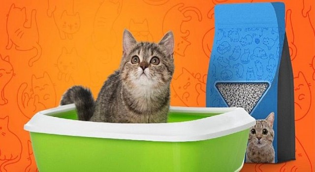 Trendyol: Türkiye’nin kedi kumu Bursa’dan
