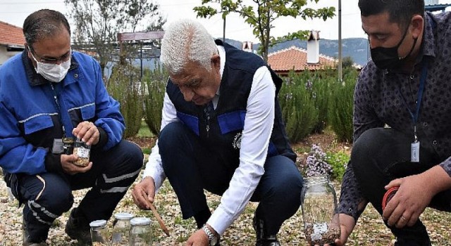 Yerel Tohumlar 2022 için Toprakla Buluştu