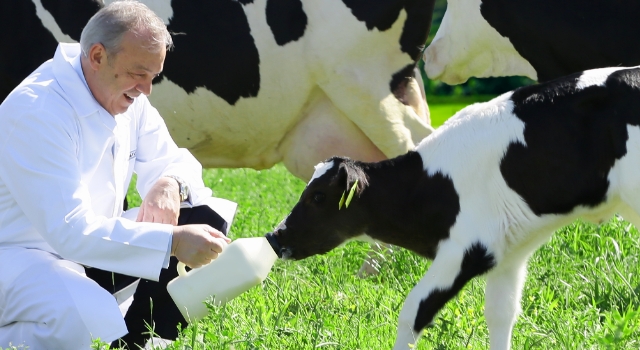1 Haziran Dünya Süt Günü’nü Kutlu Olsun “Sütaş’ın Aşkı Sütaşkı”