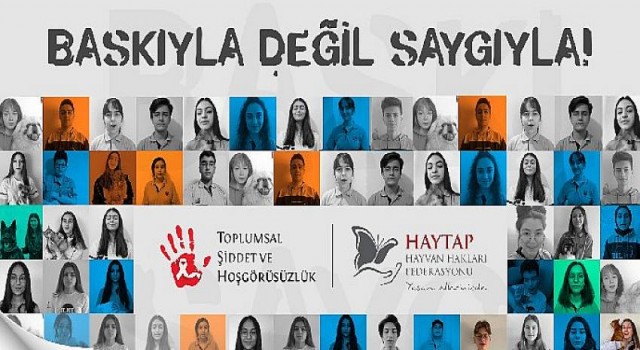 “Bilnet Liselerinden Emekli Yük Hayvanlarına Destek”