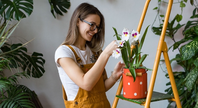 ‘EVDE SIKILMAMA REHBERİ’NİZ ZUBİZU’DAN