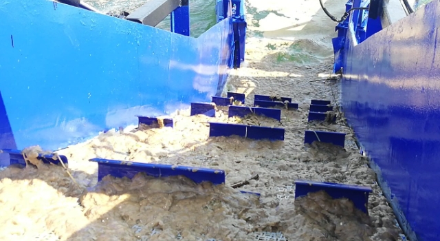 İBB’DEN DENİZ SALYASINA KARŞI MUDANYA GÖREVİ