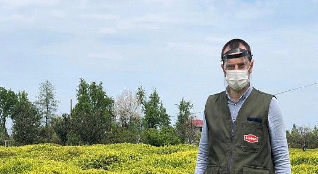 Lipton Sağlıklı ve Güvenli Bir Çay Hasadı İçin Hazırlıklarını Tamamladı
