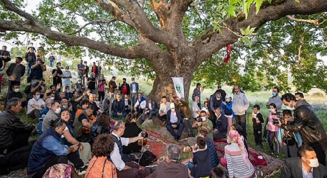 Soyer: Kozak Yaylası’nın meralarını üreticiye bıraksınlar