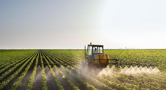 Sürdürülebilir ihracat artışı tarımda bilgiyi kullanmakla mümkün