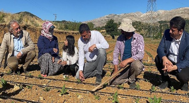 CHP Adıyaman tütün üreticilerinin yanında