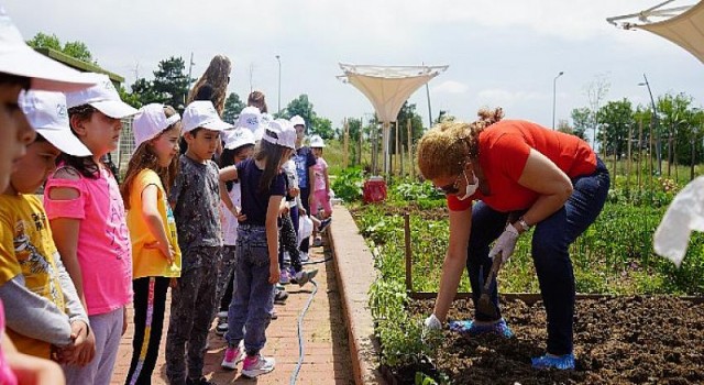 Fideler “minik ellerle” yeşerdi
