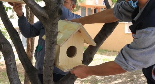 Gölbaşı Belediye Başkanı Ramazan Şimşek’ten Minik Canlara Yuva