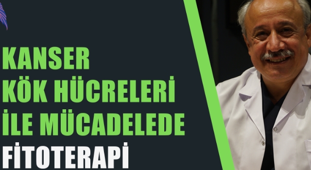 KANSER KÖK HÜCRELERİ İLE MÜCADELEDE FİTOTERAPİ