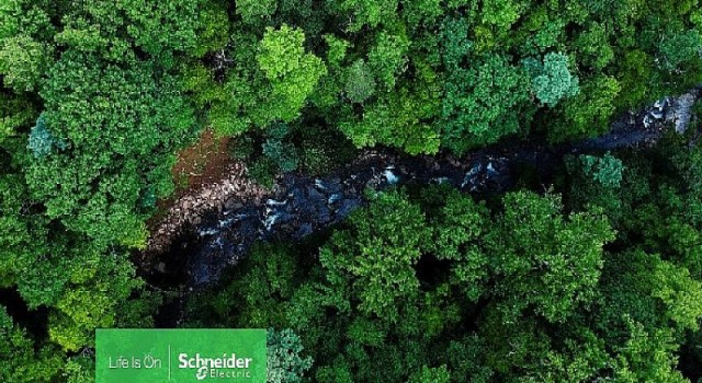 Schneider Electric global biyoçeşitlilik kaybıyla mücadele taahhüdünün ayrıntılarını açıkladı