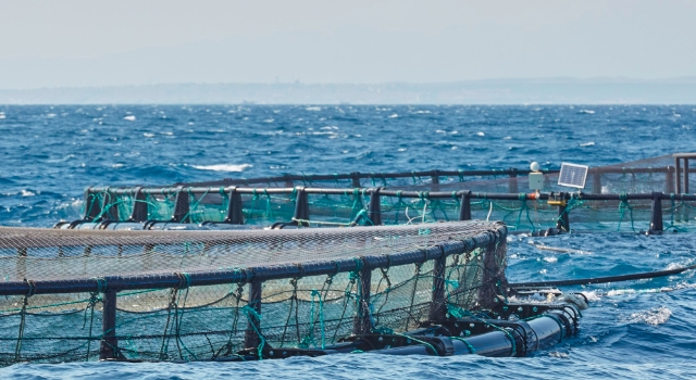 “Yediği Önünde, Yemediği Yarında” balık projesi hayata geçti!