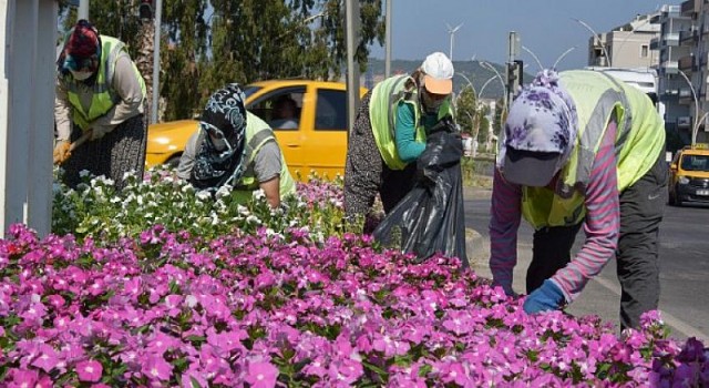 Aliağa Mevsimlik Çiçeklerle Renkleniyor