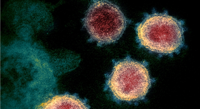 DÜNYA GENELİNDE DELTA VARYANTI PANİĞİ