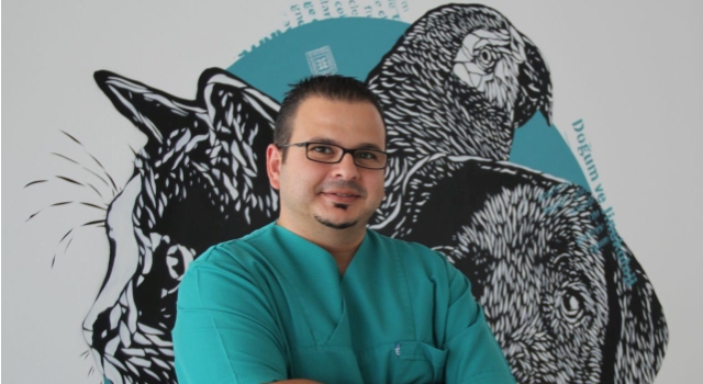 Köpeğinizin Geleceğini Tehdit Eden Risk: Meme Tümörleri... 