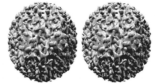 Türkiye’de hepatit B virüsü taşıyan 3,5 milyon insan bulunuyor