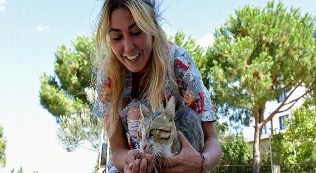 Aliağa’da Sevimli Dostlar İçin Yoğun Mesai