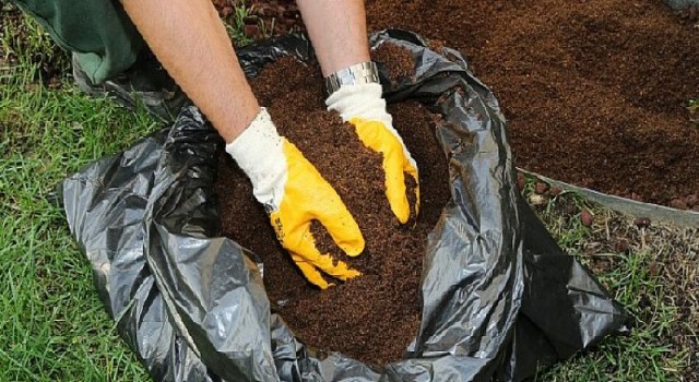 Çevreci “Ardıç Sofrası” Projesi Avrupa Yerel Demokrasi Haftası’nda