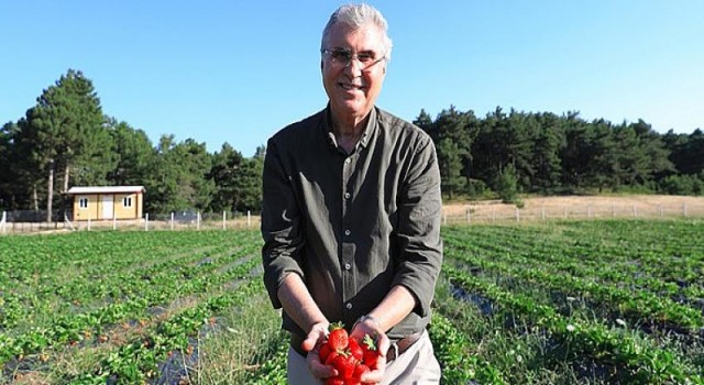 “El emeği çileklerimiz işletmecilerden yoğun bir rağbet görüyor”