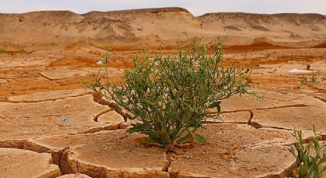 IPCC Uyardı: “İklim Değişikliğini Sınırlandırmak İçin Derhal Harekete Geçilmeli”