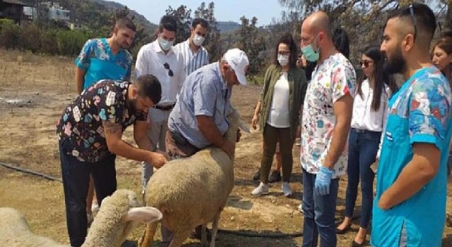 İYİ Gençlik afet bölgesinde