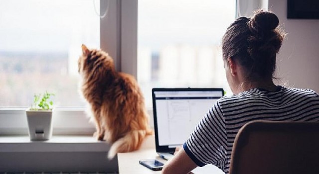 Yeni dönemin şifresi asla güvenme, her zaman doğrula