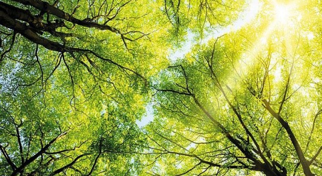 AkzoNobel’den iklim değişikliği ile mücadelede öncü karbon azaltma hedefi