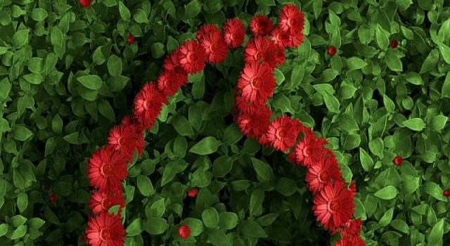 Vodafone, Çevre kampanyasına katılan her müşterisi için WWF-Türkiye’ye bağış yapacak