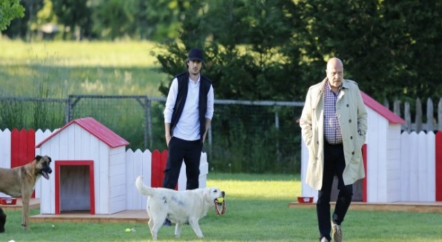 4 Ekim Hayvanları Koruma Günü’nde Bunu Bi’ Düşünün!