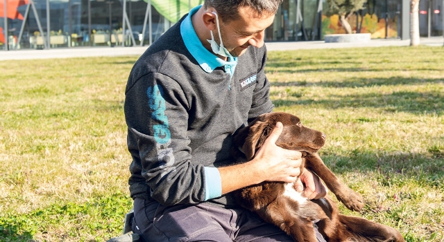 Altı bölgede yüzlerce sokak hayvanı beslendi