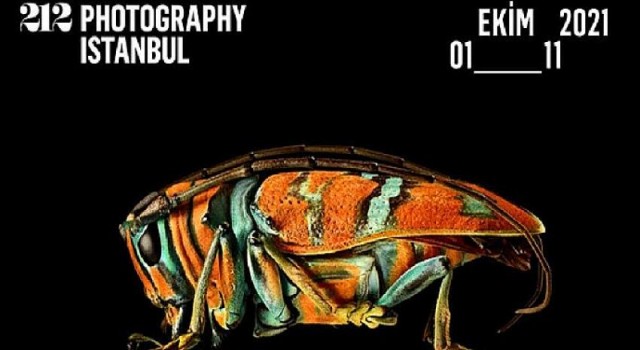 LG OLED TV, 212 Photography Istanbul’a Desteğini Sürdürüyor