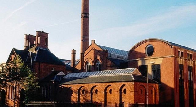 Türk Oyun Şirketi Hungri Games, İrlanda Ofisiyle Global Büyüme Tuşuna Bastı