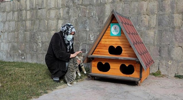 Nevşehir Belediyesi’nden Sokaktaki Minik Dostlarımız İçin Kış Seferberliği