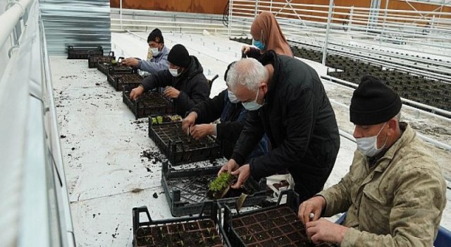 Serada Yetişiyor Keçiören’i Güzelleştiriyor
