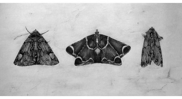 Bağımsız Sanatçılar One Akaretler’de Buluşuyor