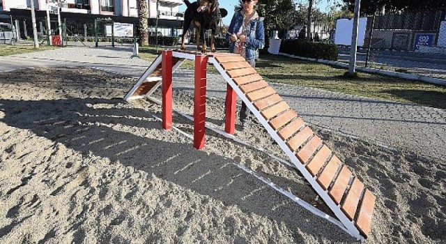 Gaziemir’de köpeklere özel park açıldı