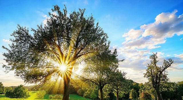 Karbonsuz ekonomi için ilk adım enerji verimliliğinden geçiyor