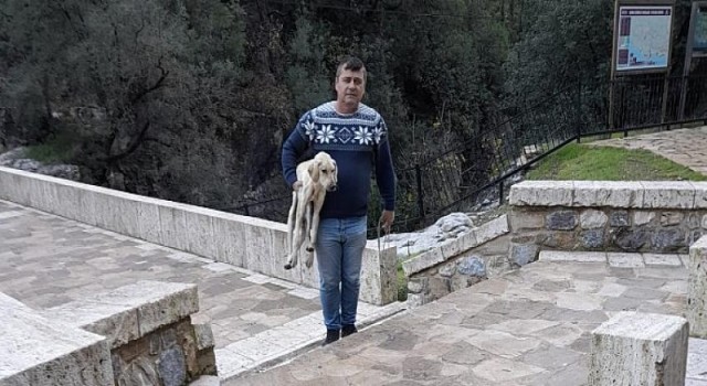 Kemer Belediyesi Sahip Çıktı