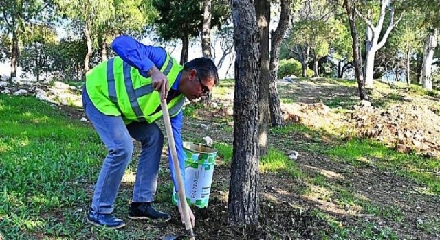Bitki atıkları ekonomiye kazandırılıyor