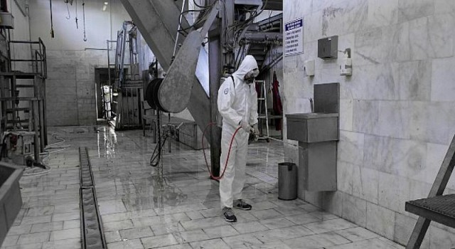 Büyükşehir modern Mezbahalarda kaliteli hizmet üretiyor