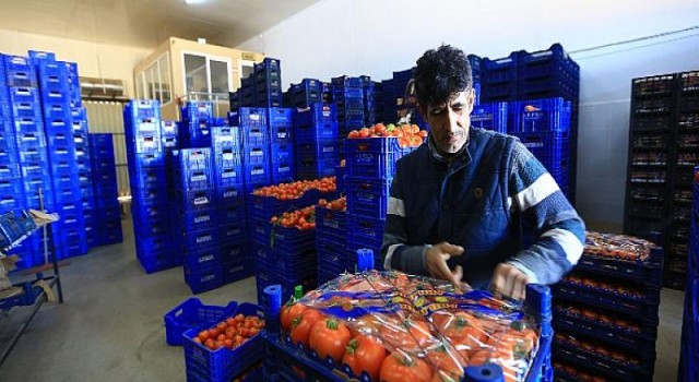 Büyükşehir, toptancı hali esnafına “kefil” oluyor