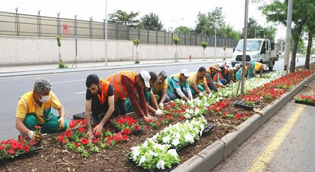 Diyarbakır 2021’de 3 milyon 500 bin mevsimlik çiçekle süslendi