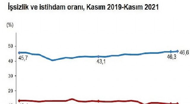 İşgücü İstatistikleri, Kasım 2021
